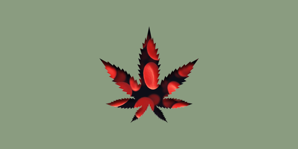 Why-Bioavailability-Matters-for-CBD-Updated-Cover