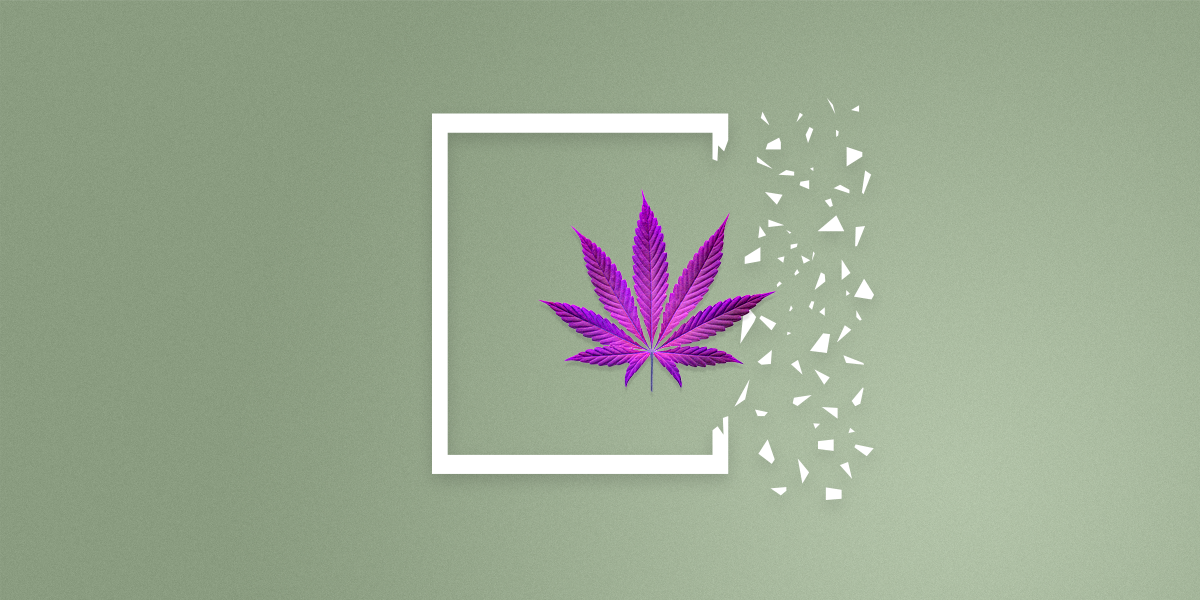 Beyond-THC-and-CBD-Updated-Cover