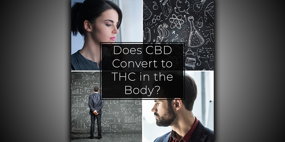 Does CBD Convert to THC in the Body Does CBD Convert to THC in the Body
