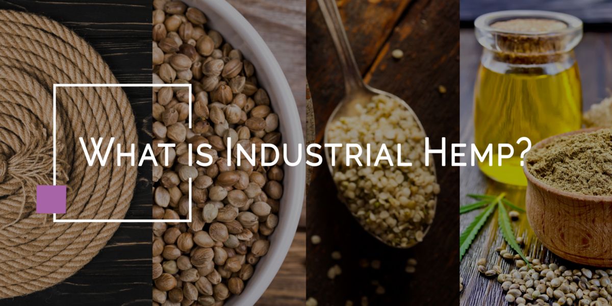 What-is-Industrial-Hemp-v7-1200x600