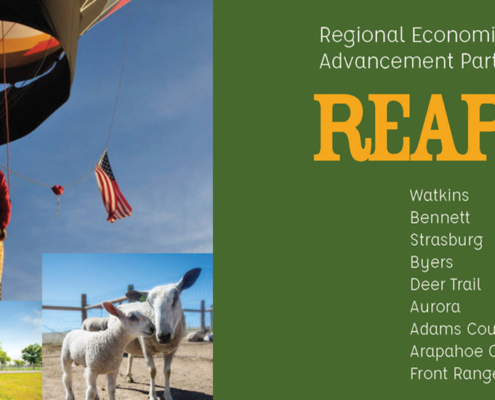 Kazmira Partners with REAP - Kazmira LLC