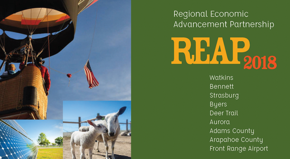 Kazmira Partners with REAP - Kazmira LLC Kazmira Partners with REAP - Kazmira LLC