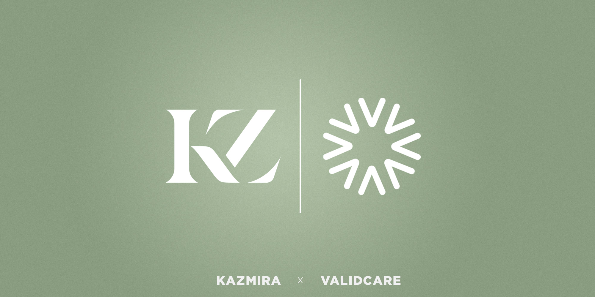 Valid-Care-X-KZ-Press-Release-Cover